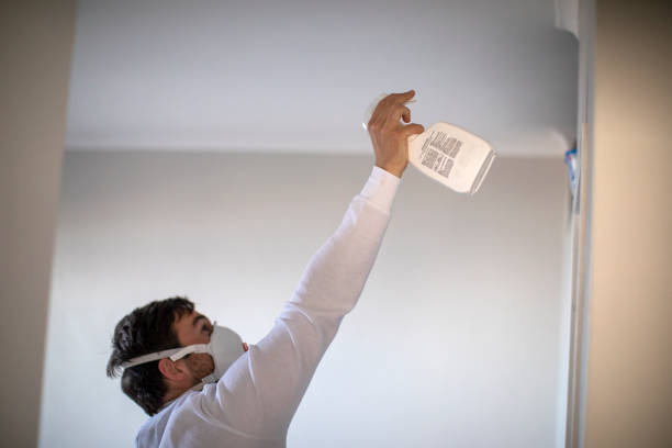 Best Fast Mold Removal  in Northview, MI