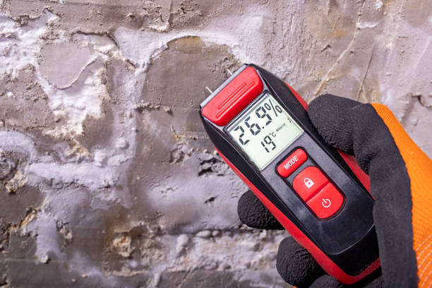 Professional Mold Removal in Northview, MI