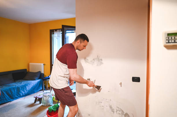 Best Crawl Space Mold Removal  in Northview, MI
